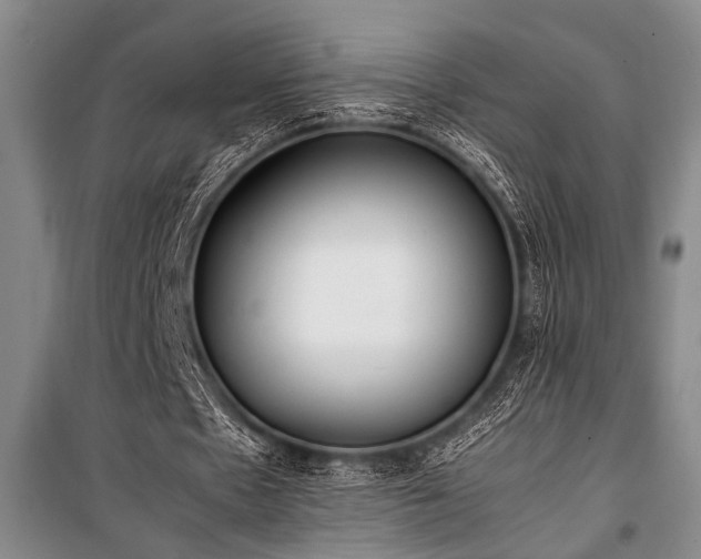 X0000101220481200806271451