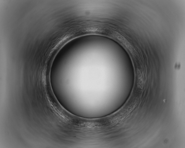 X0000101220482200806271451