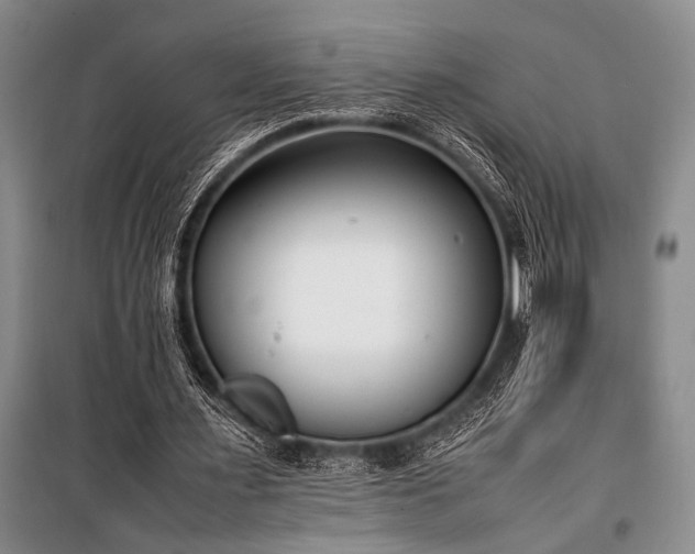 X0000101220483200806271451