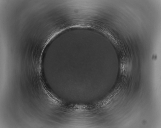 X0000101220484200806271451