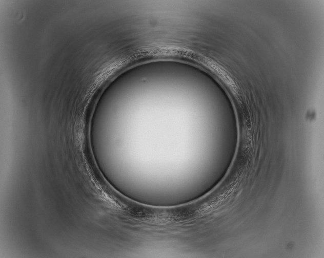X0000101220485200806271451
