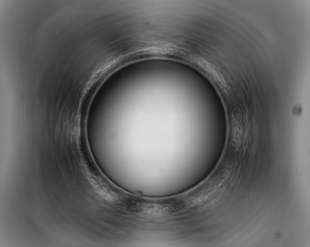 X0000101220486200806271451