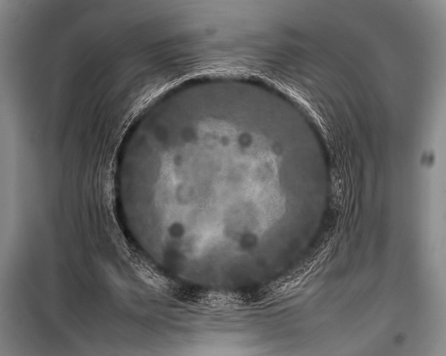 X0000101220487200806271451
