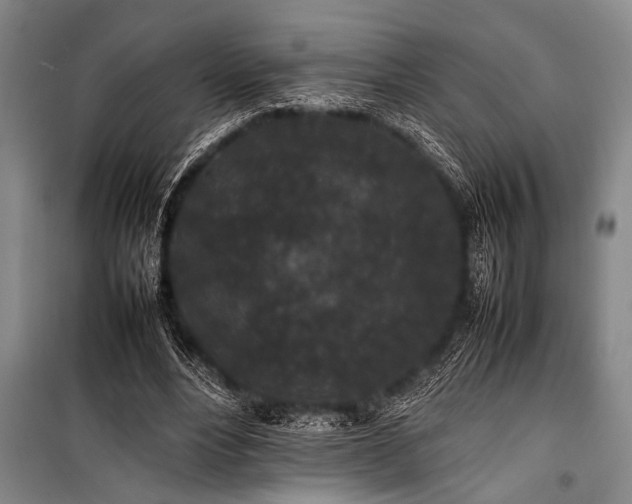 X0000101220488200806271451