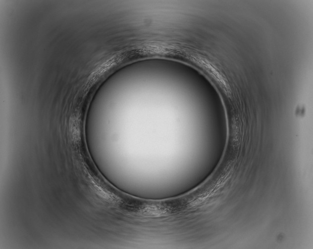 X0000101220489200806271451
