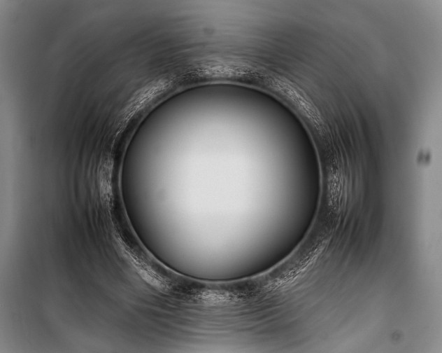 X0000101220490200806271451