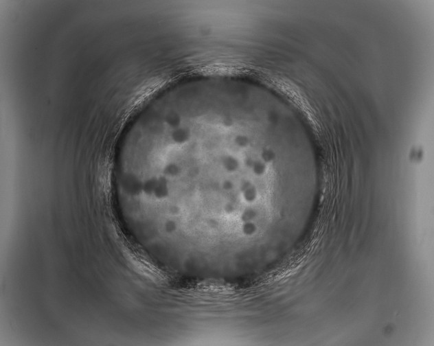 X0000101220491200806271451