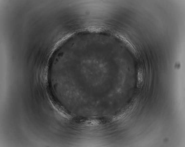 X0000101220492200806271451