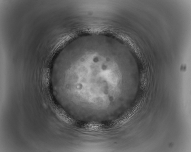 X0000101220495200806271451