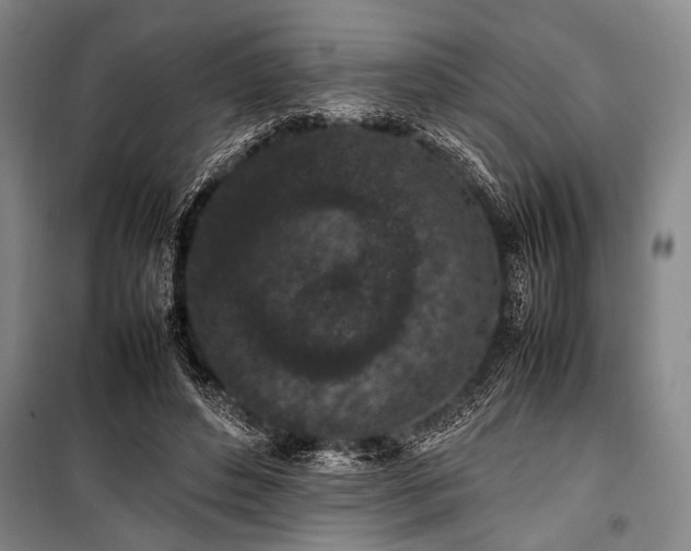 X0000101220496200806271451