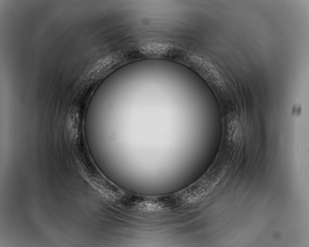 X0000101220498200806271451
