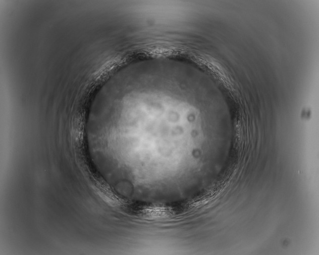 X0000101220499200806271451