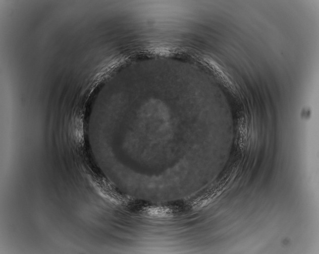 X0000101220500200806271451