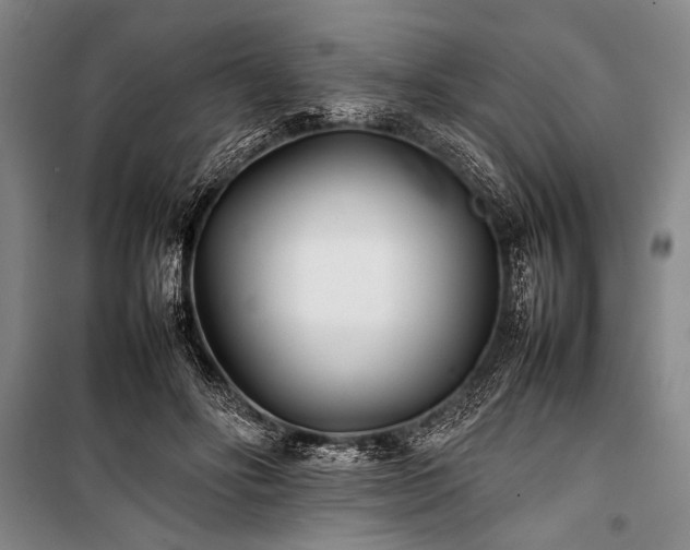 X0000101220502200806271451