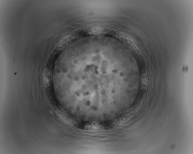 X0000101220503200806271451