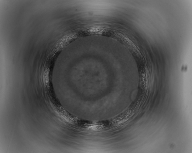 X0000101220504200806271451