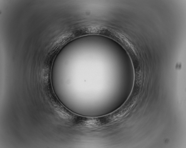 X0000101220505200806271451