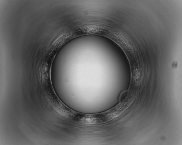 X0000101220506200806271451