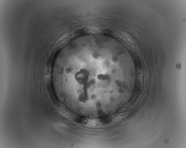 X0000101220507200806271451