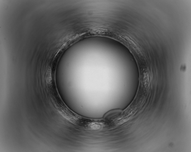 X0000101220508200806271451