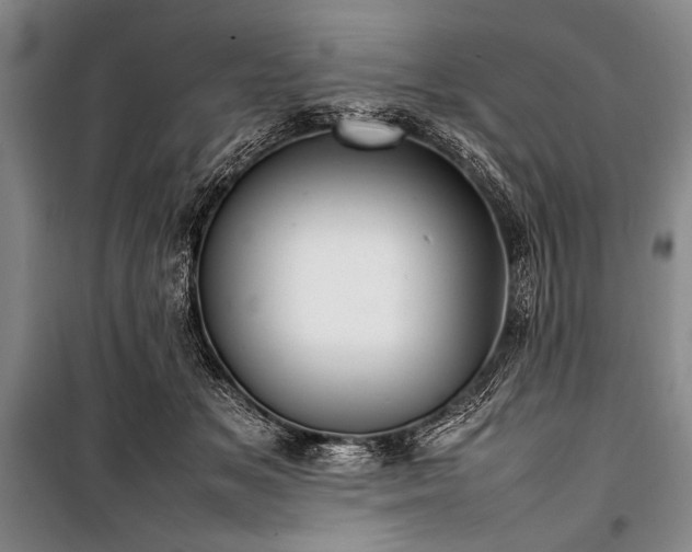 X0000101220509200806271451
