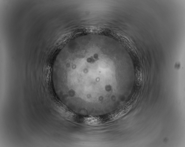 X0000101220511200806271451
