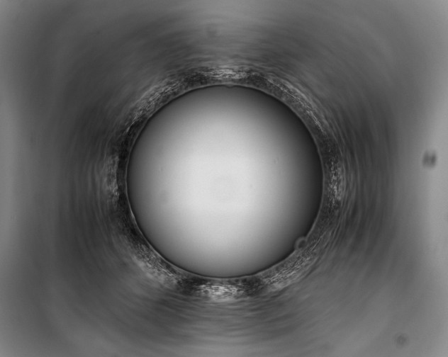 X0000101220512200806271451