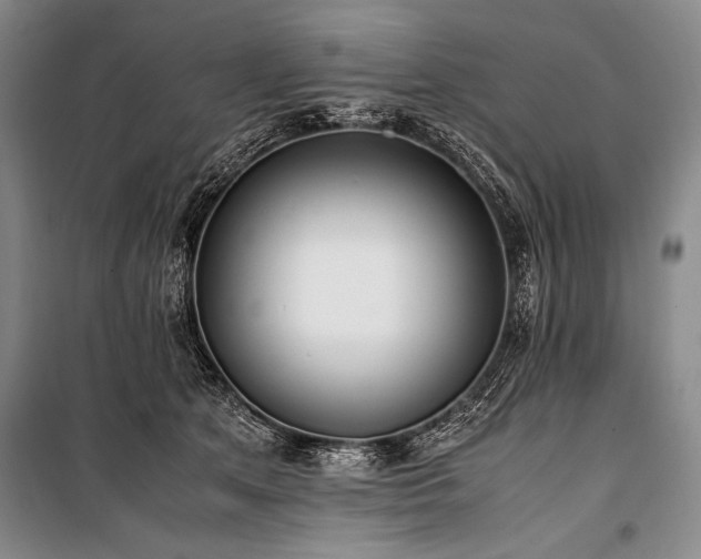 X0000101220513200806271451