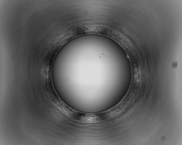 X0000101220514200806271451