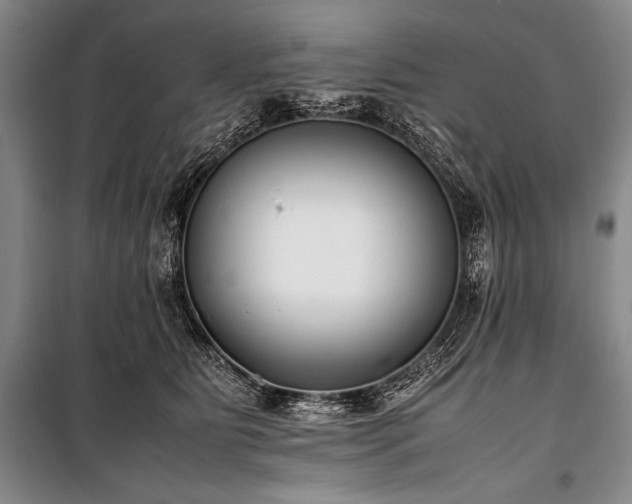 X0000101220515200806271451