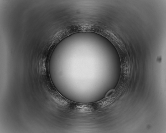 X0000101220516200806271451
