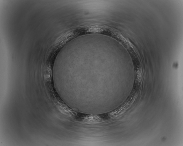 X0000101220517200806271451