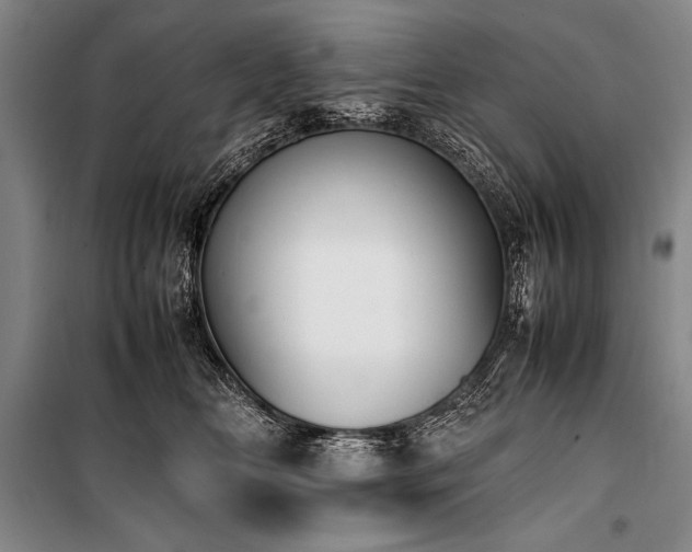 X0000101220518200806271451