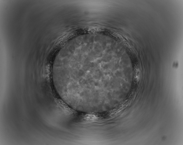 X0000101220519200806271451