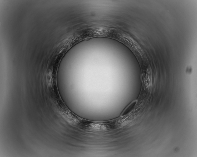 X0000101220520200806271450