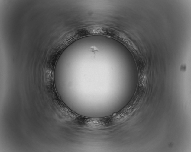 X0000101220521200806271450