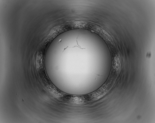 X0000101220522200806271450