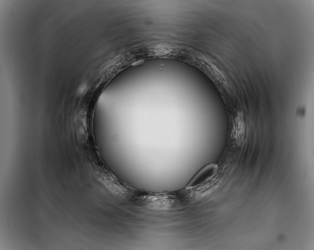 X0000101220524200806271450