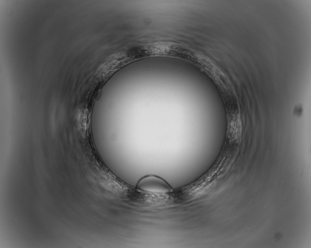 X0000101220525200806271450