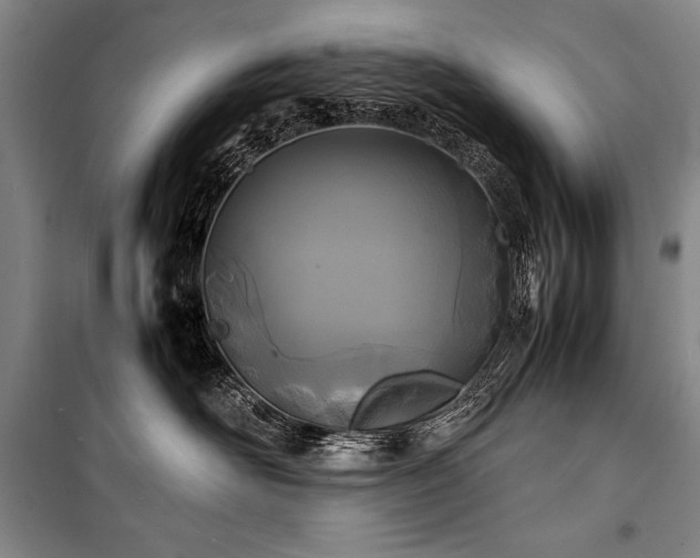 X0000101220526200806271450