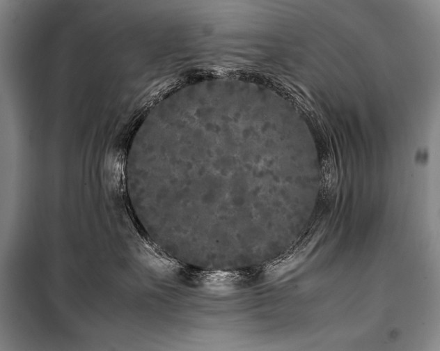 X0000101220527200806271450