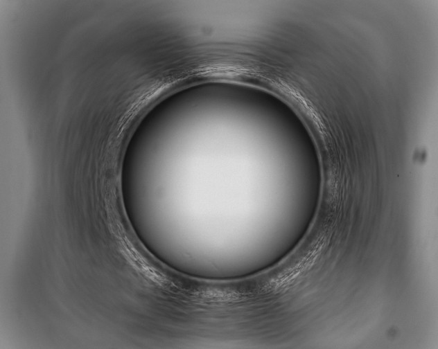 X0000101220529200806271450