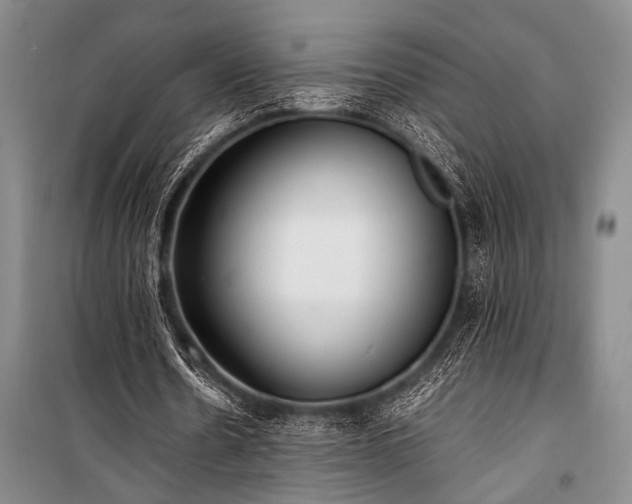 X0000101220530200806271450