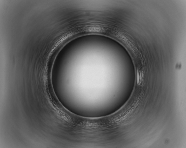X0000101220531200806271450