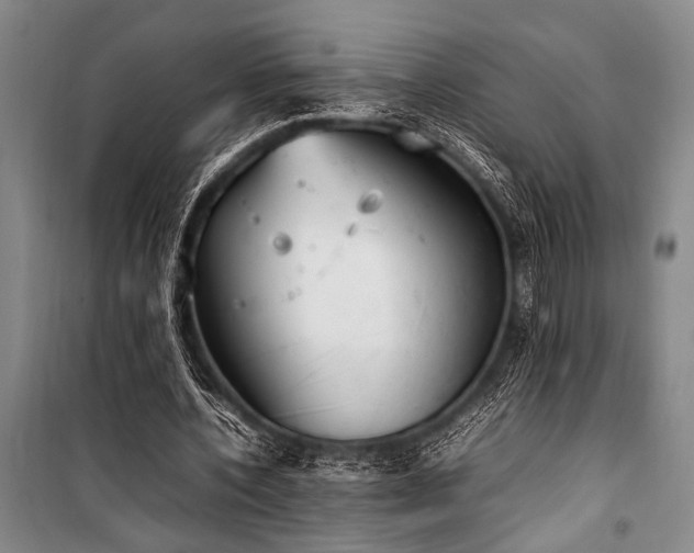 X0000101220532200806271450