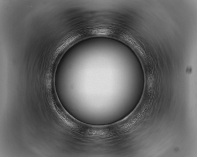 X0000101220533200806271450
