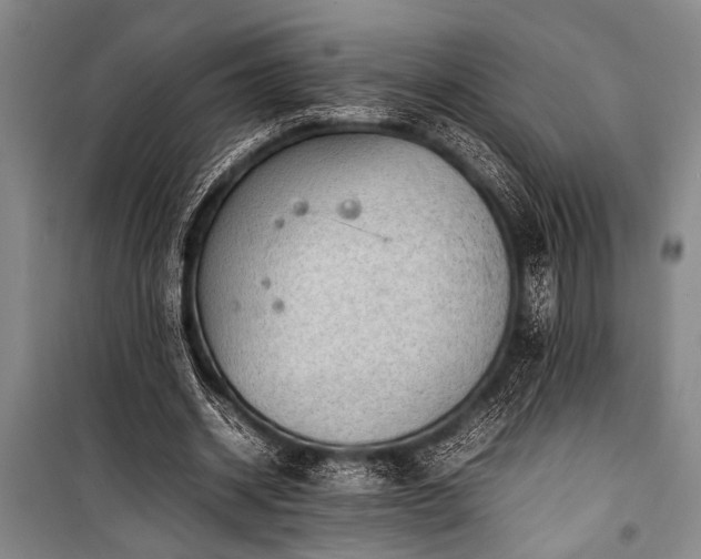 X0000101220534200806271450