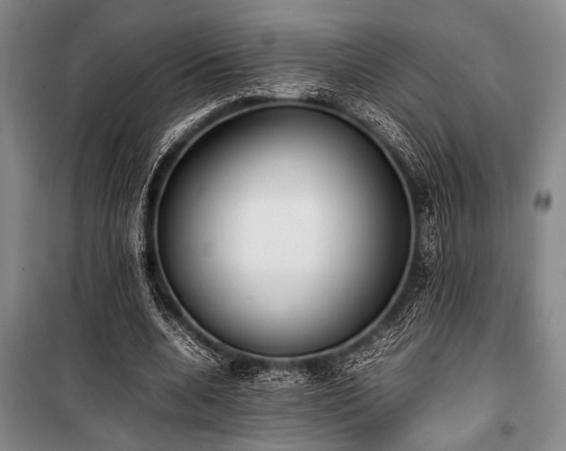 X0000101220536200806271450