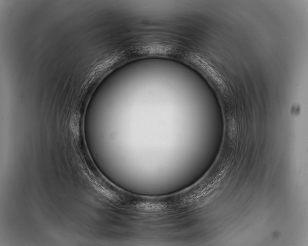 X0000101220537200806271450