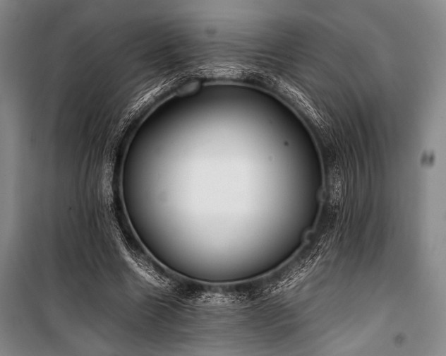 X0000101220538200806271450